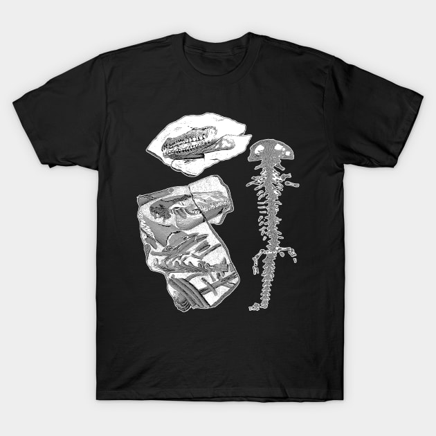 Dinosaur Fossils | Paleontology Archeology Dino Bones T-Shirt by encycloart